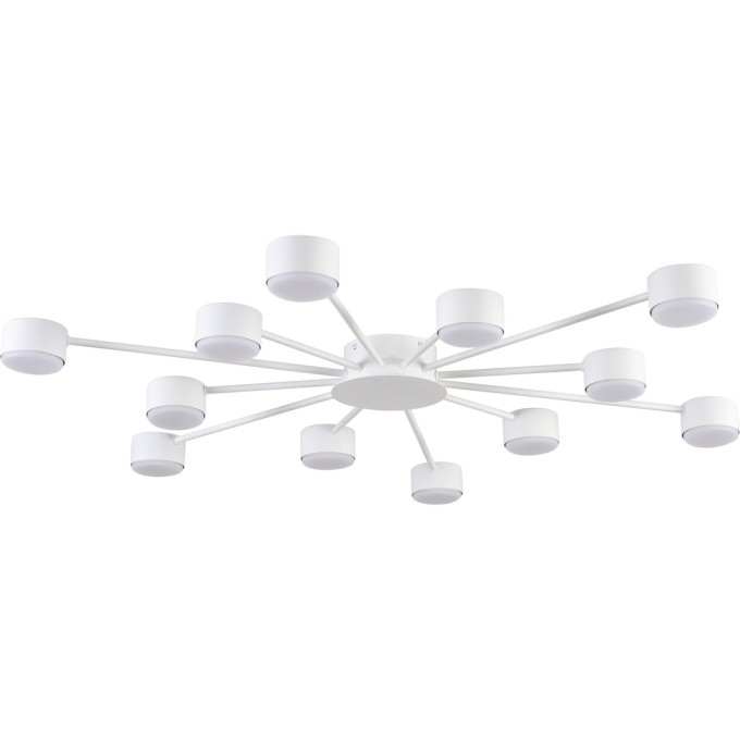 Люстра LUMION TORINA 8343/12C
