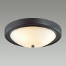 Настенно-потолочный светильник LUMION VINTAGE NINA 5260/3C