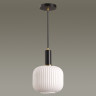 Светильник LUMION SUSPENTIONI 4452/1