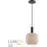 Светильник LUMION SUSPENTIONI 4462/1